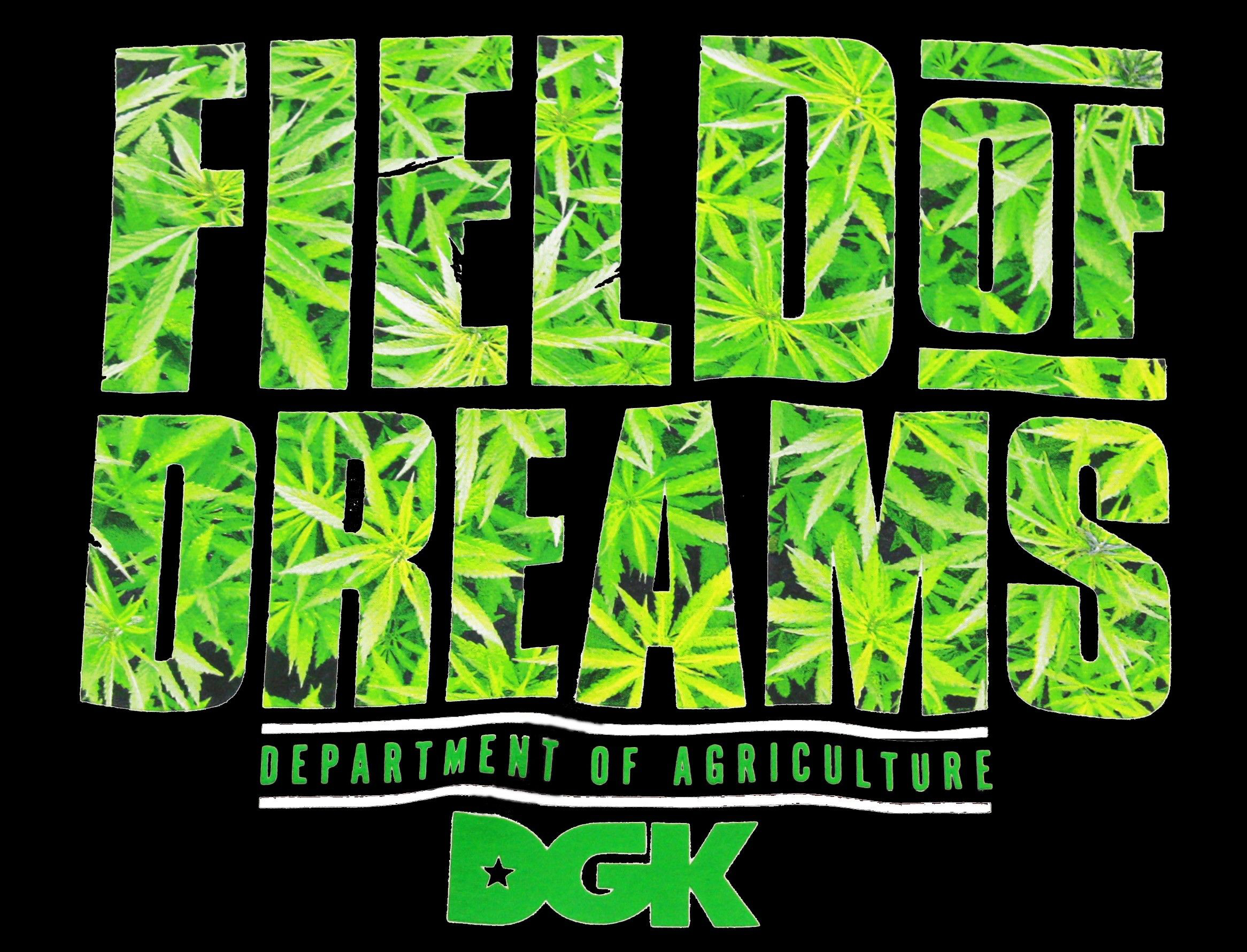 Dgk Wallpaper 67 images