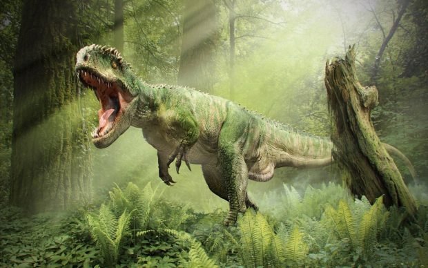 Dinosaurs Wallpapers HD.