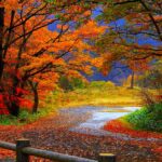 Download Fall Desktop Images.