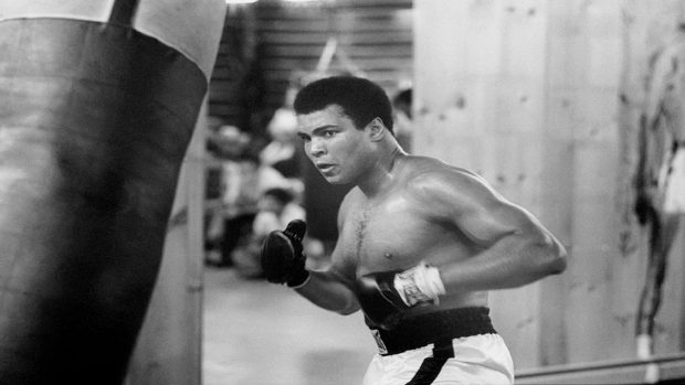 Download Free Muhammad Ali Wallpaper.