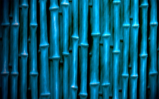 Download HD Bamboo Backgrounds.