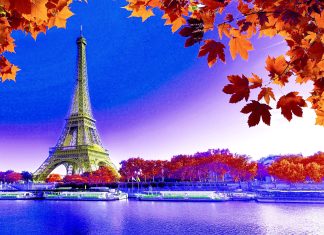 Download HD Eiffel Tower Wallpaper.