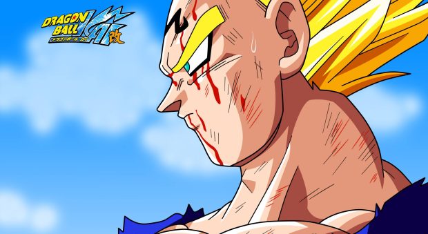 Download HD Vegeta Wallpapers.