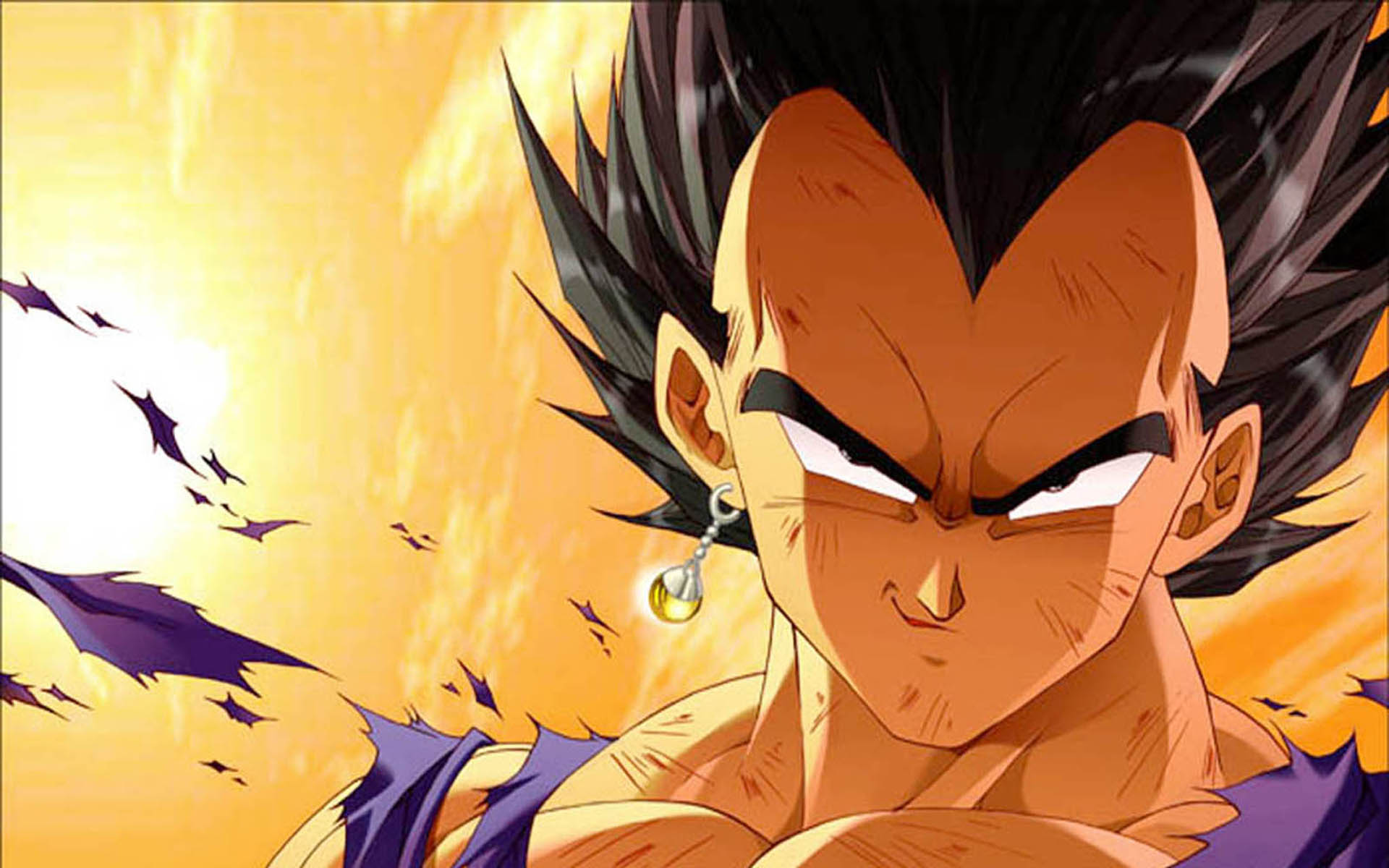 Free HD Vegeta Wallpapers | PixelsTalk.Net1920 x 1200