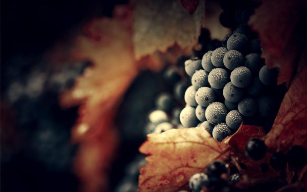 Download Nice Black Photo Free.