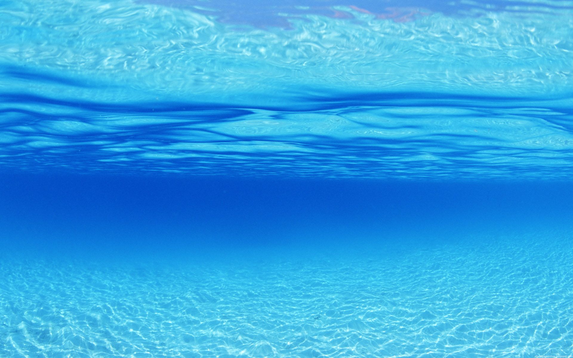 Ocean Underwater Wallpaper HD | PixelsTalk.Net