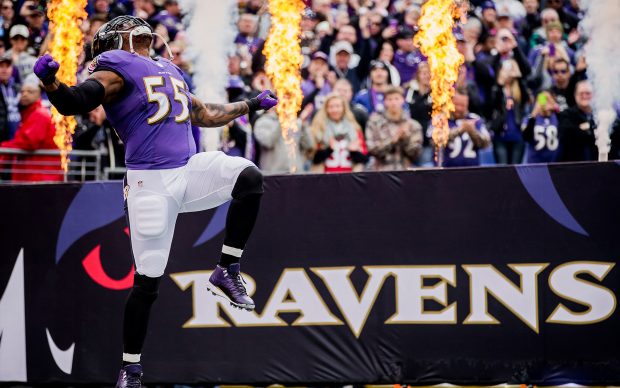 Download Wallpapers Ravens HD.