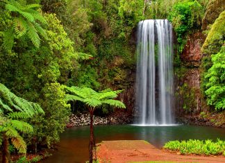 Download Waterfall Wallpaper High Quality.