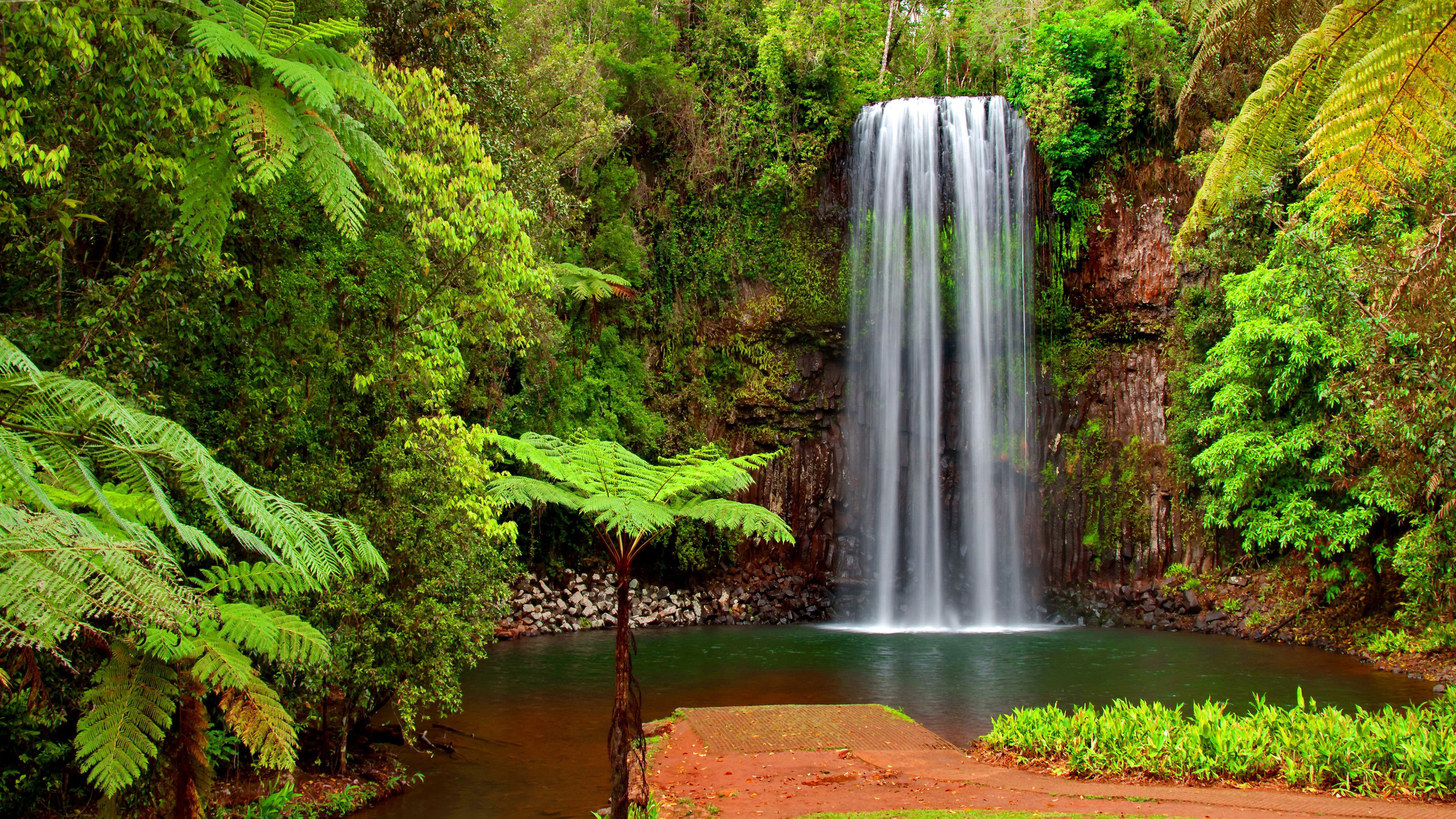 Nature Green Waterfall background  Download Free pictures