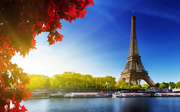 Download eiffel tower hd wallpapers.