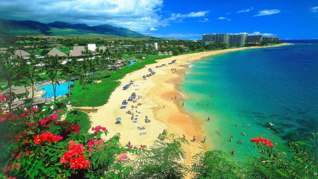 Download hawaii android wallpapers.