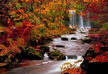 Fall Backgrounds For Desktop.