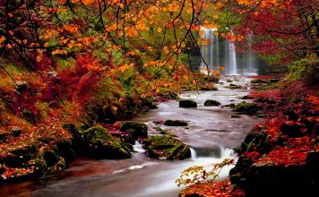 Fall Backgrounds For Desktop.