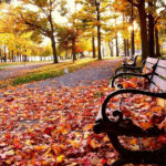 Fall Desktop Backgrounds HD.