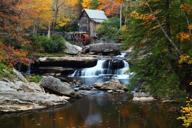 Fall Foliage Desktop Wallpapers.