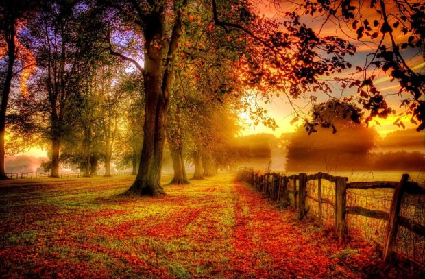 Fall Foliage Photo Download Free.