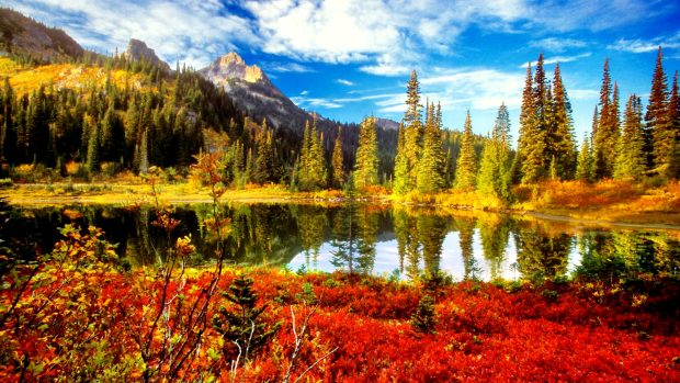 Fall Scenery Background HD.