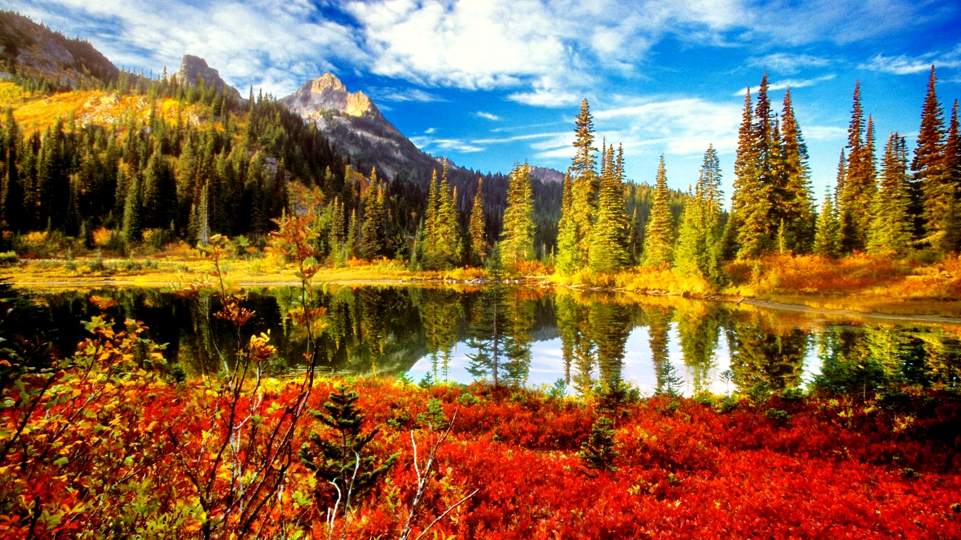 1920X1080 Most Beautiful Fall Scenery