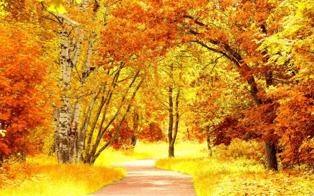 Fall Scenery Desktop Wallpapers HD.