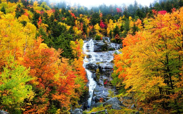 Fall Scenery HD Images.