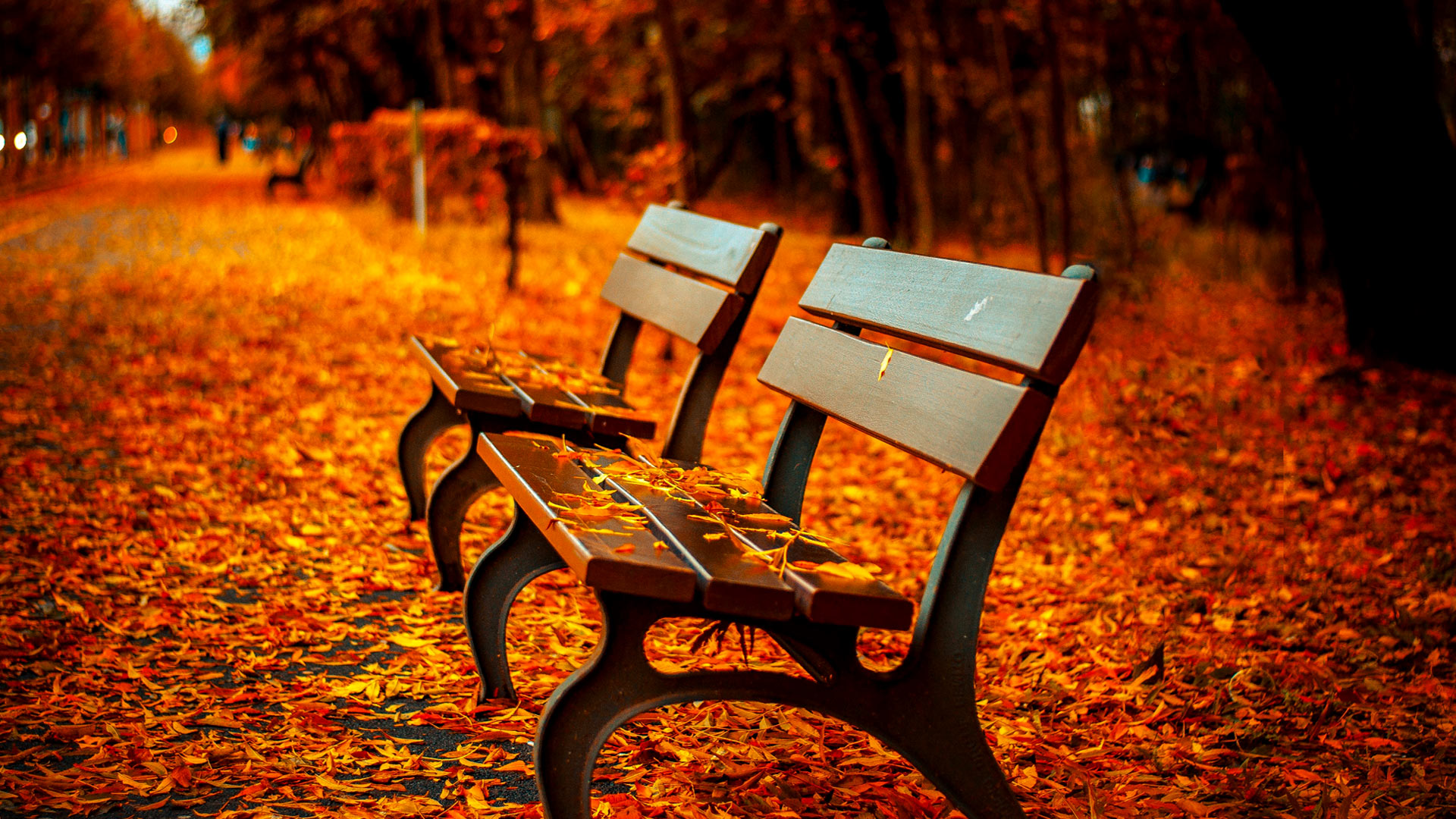 937 Fall HD Wallpapers Background Images