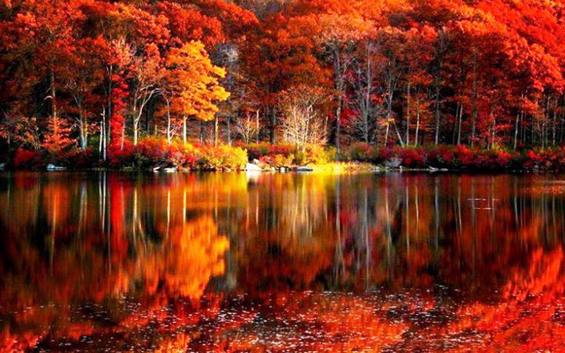 Bộ sưu tập 666 Background desktop autumn đẹp và lãng mạn