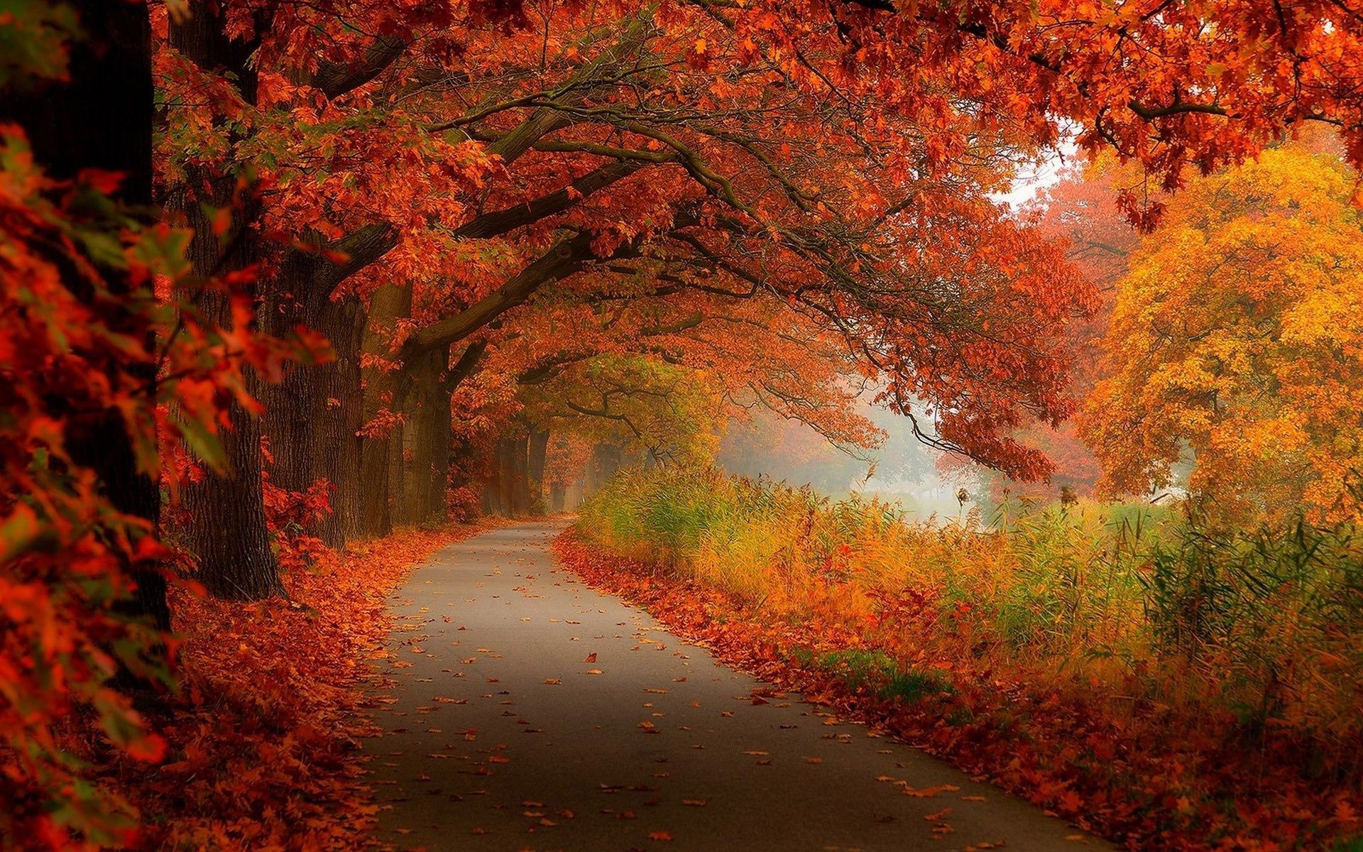  Fall  Scenery Wallpapers Free Download PixelsTalk Net