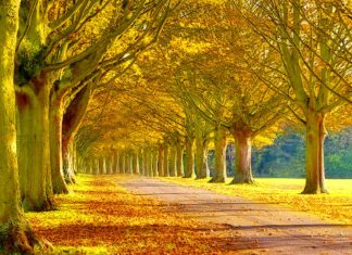 Fall Scenery Photos HD.