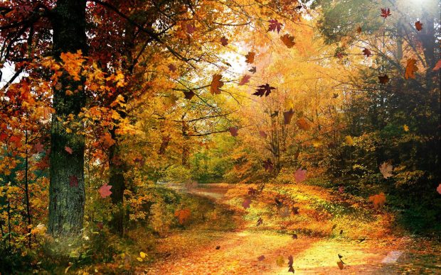 Fall Scenery Picture Download Free.