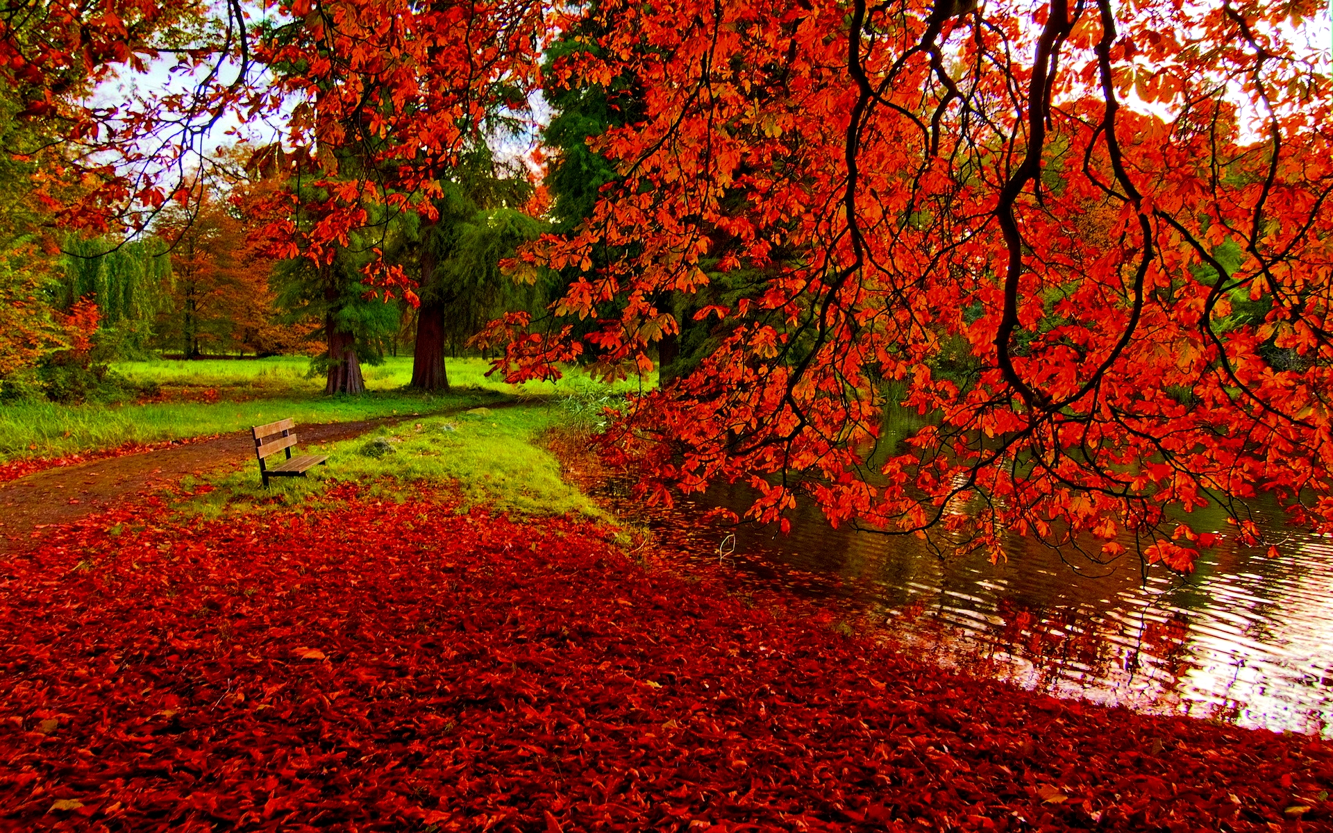 Fall Scenery HD Wallpapers - PixelsTalk.Net