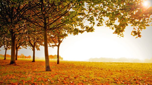 Fall Scenery Pictures.