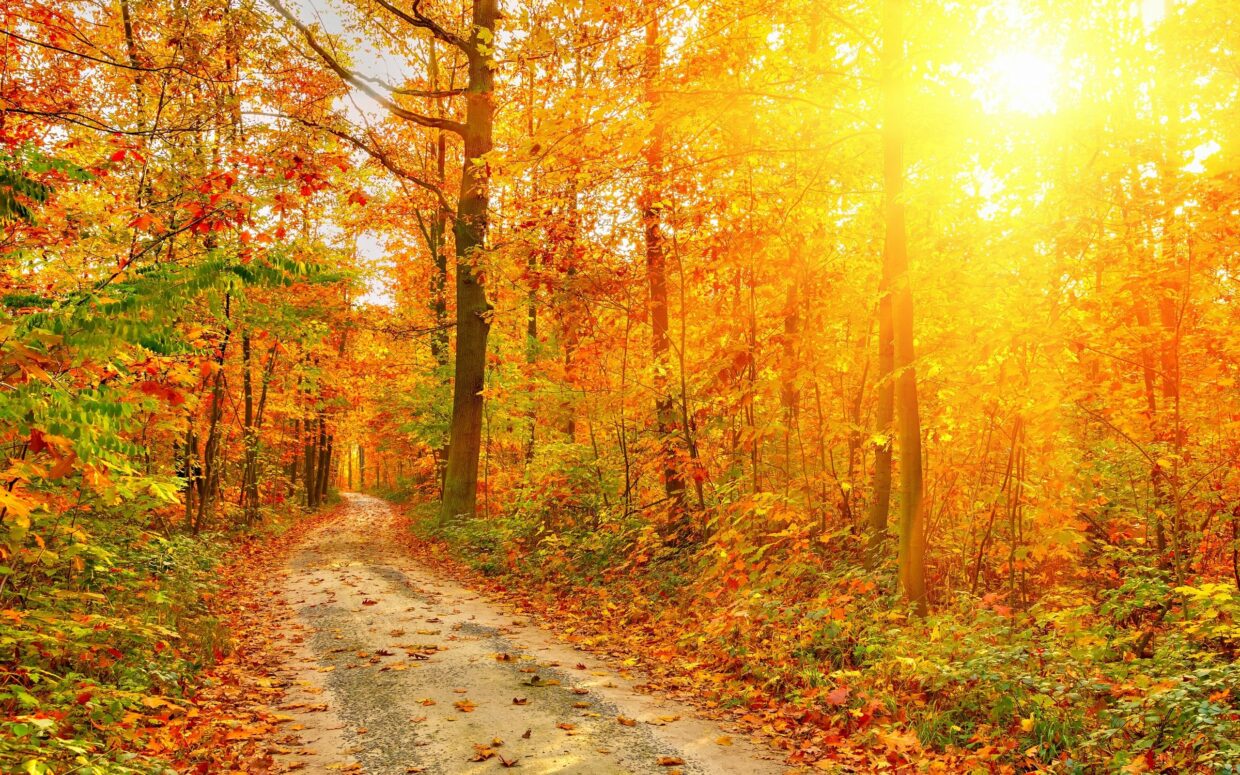 Fall Scenery Wallpapers - PixelsTalk