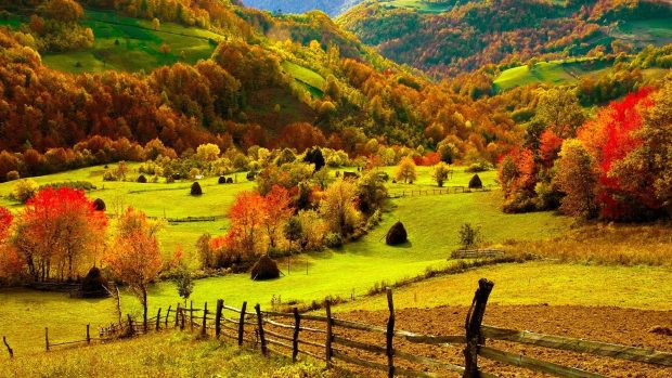 Fall Scenery Wallpaper HD.