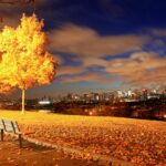 Fall Wallpapers HD For Desktop.