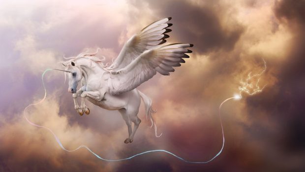 Fantasy Unicorn HD Wallpapers 1920x1080.