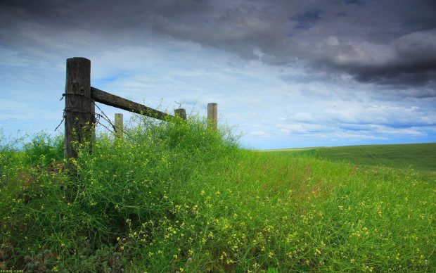 Fence with Grass wallpaper high resolution.