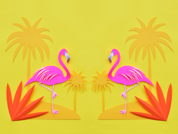 Flamingo Backgrounds.
