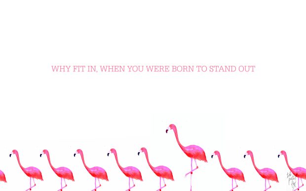 Flamingo Desktop Backgrounds.