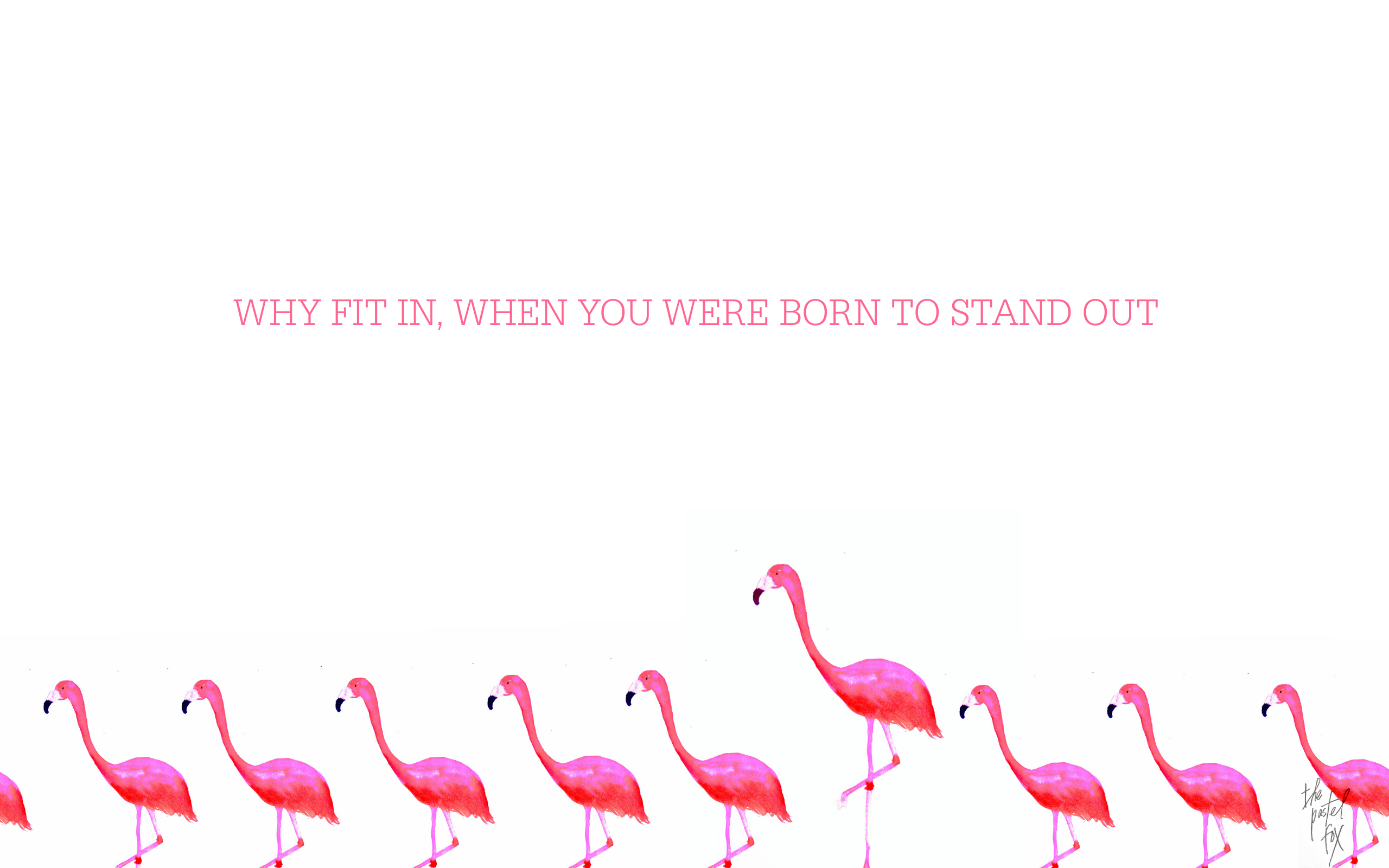 Download Flamingo Wallpaper