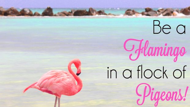 Flamingo Images.