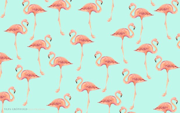 Flamingo Wallpapers.