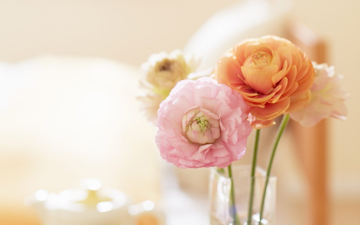 Desktop Flower HD Wallpapers - PixelsTalk