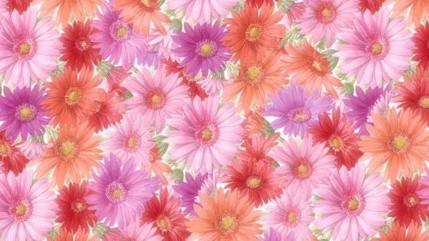 Flower Wallpapers HD Images Free.