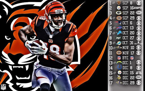 Football wallpaper bengals cincinnati wallpapers.