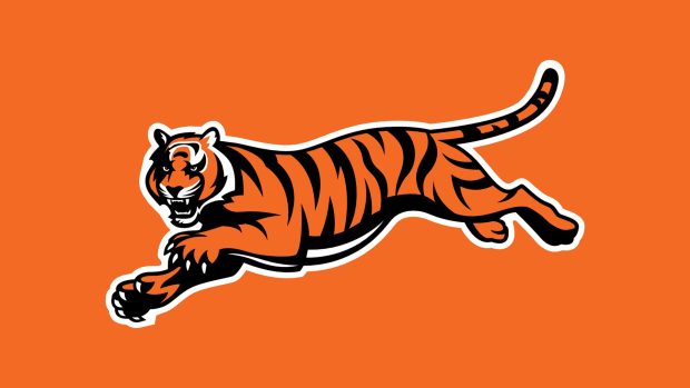 Free Bengals Backgrounds Download.