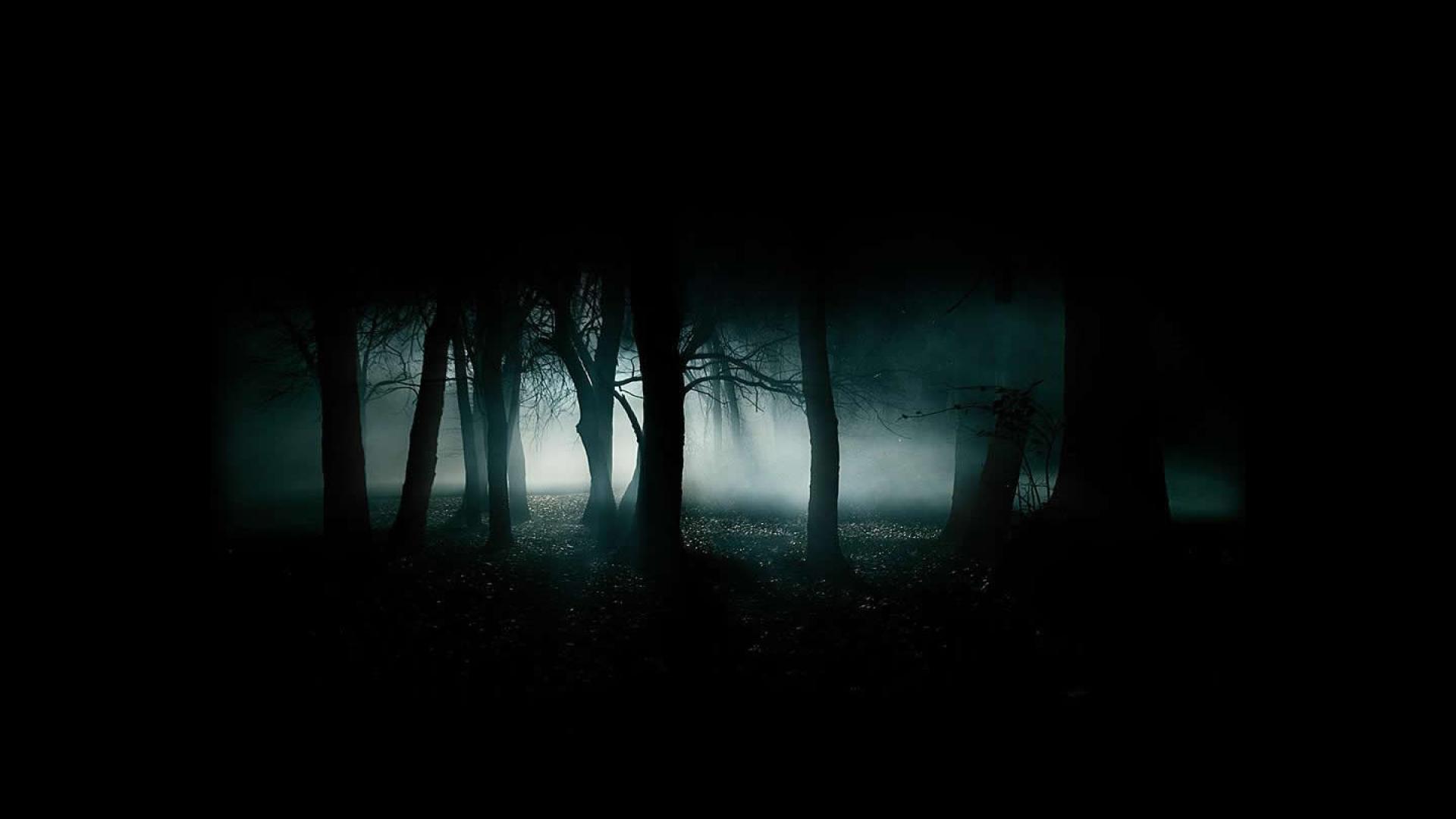 Free Dark Woods Background Download.