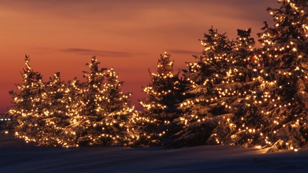 Free Desktop Christmas Lights Wallpapers Winter.