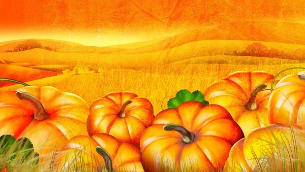 Free Desktop Pumpkin Wallpapers HD.