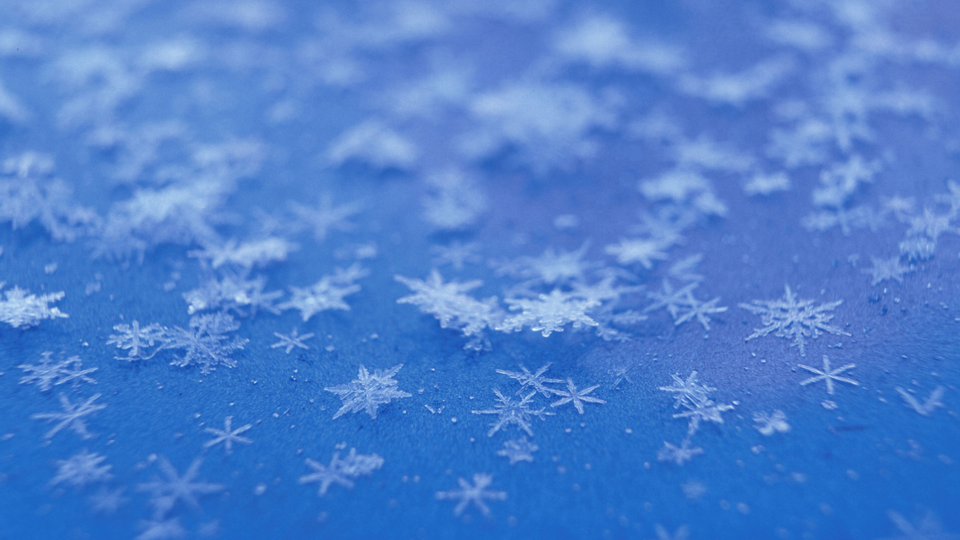 Snowflake Wallpaper HD 