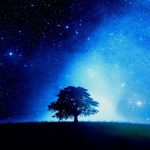 Free Desktop Starry Night Wallpaper.